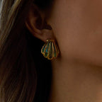 Shelly shells